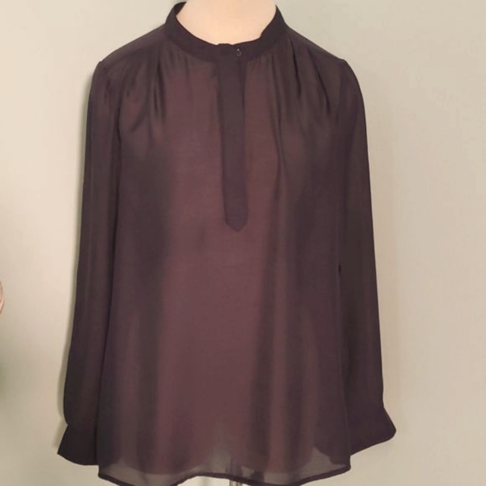 Women's blue Sheer blouse. Large, long sleeves, mature, oversized.